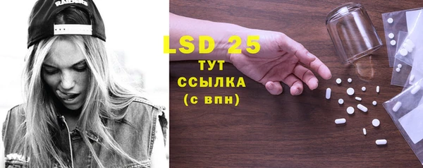 прущие грибы Абаза