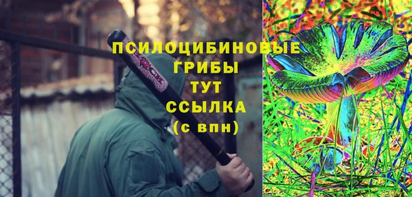 прущие грибы Абаза