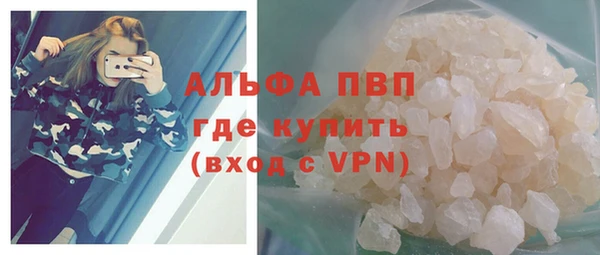 прущие грибы Абаза