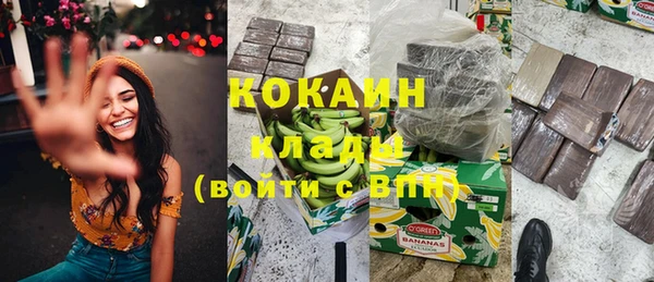 прущие грибы Абаза