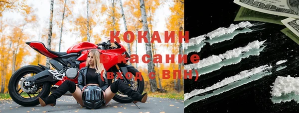 прущие грибы Абаза