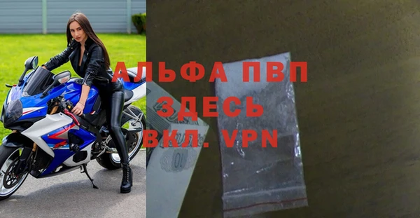 прущие грибы Абаза